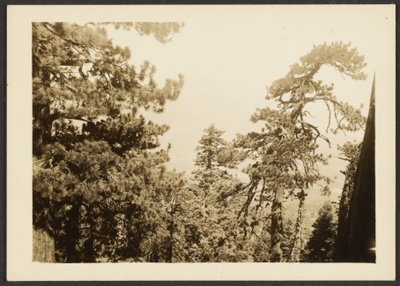 [Santa Rosa Peak] av Louis Fleckenstein