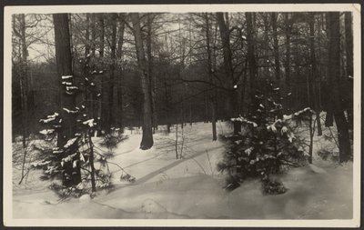 [Snöigt landskap] av Louis Fleckenstein