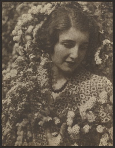 Spirea av Louis Fleckenstein