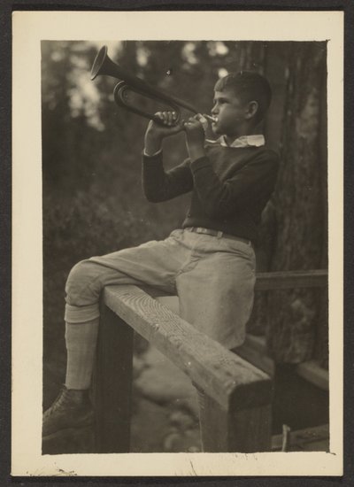 Törnnebb av Louis Fleckenstein