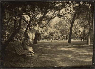 Kvinna i en park av Louis Fleckenstein