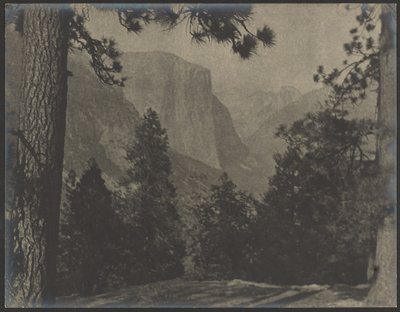 Yosemite, genom tallarna av Louis Fleckenstein