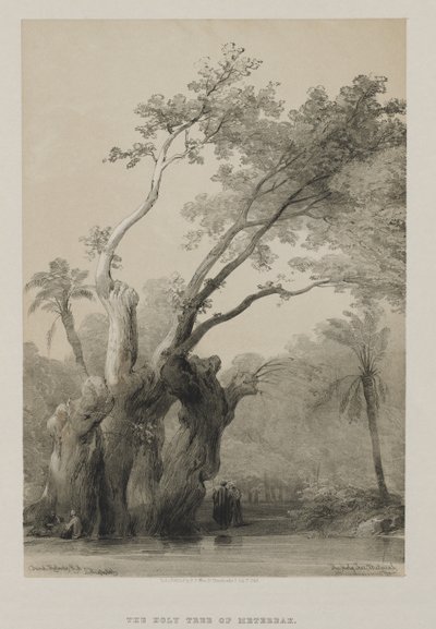 Egypten och Nubien, volym III: Metereahs heliga träd, 1849. av Louis Haghe