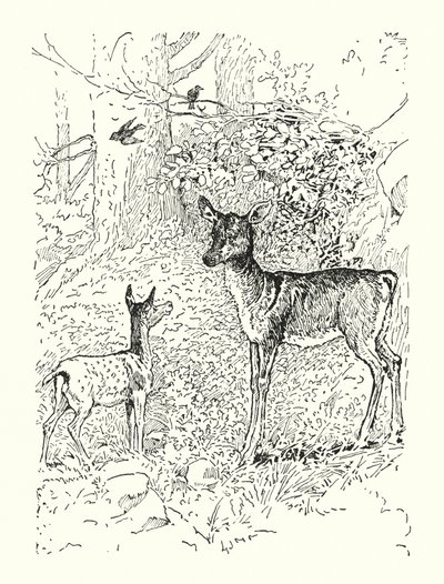 Faunan och hans mor (litografi) av Louis John Rhead