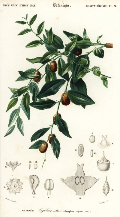 swedish av Louis Joseph Edouard Maubert
