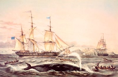 Valfångst utanför Kap det goda hoppet av Louis Le Breton