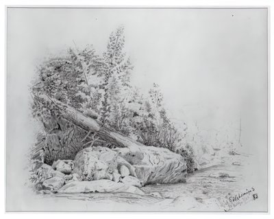 Fallen Tree, Keene Valley, 25 juli 1883. av Louis Michel Eilshemius