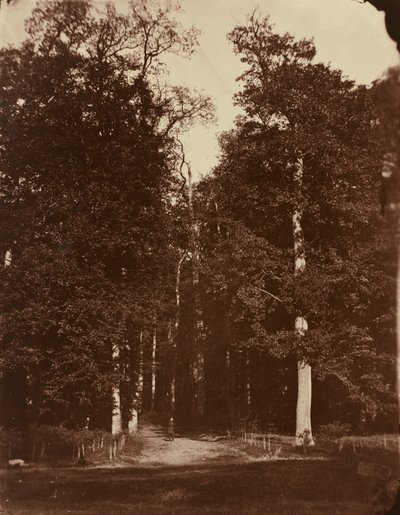 Skog vid Saint-Cloud av Louis Rémy Robert