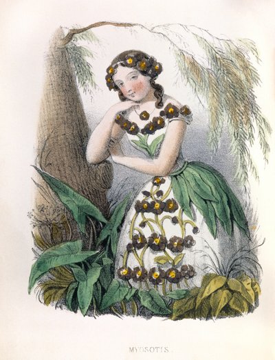 Allegori , la Myosotis av Louis Simon (1810-1870) Lassalle