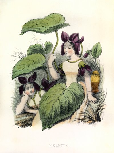 Allegorier , la Violette av Louis Simon (1810-1870) Lassalle