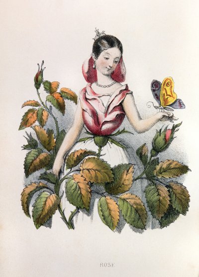 Allegorier, la rose av Louis Simon (1810-1870) Lassalle