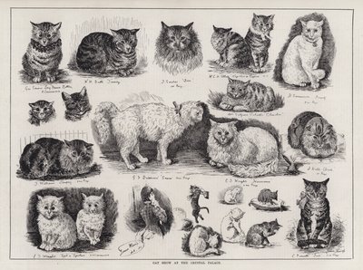 Cat Show på Crystal Palace (gravyr) av Louis Wain