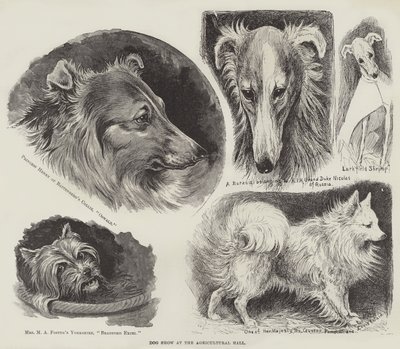 Hundutställning i Lantbrukshallen av Louis Wain
