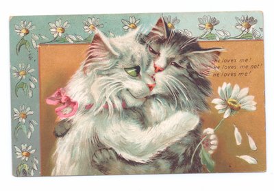 Edwardianskt vykort av två katter som kramar varandra, c.1910 av Louis Wain