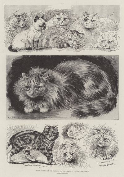 Pristagare på National Cat Club Show på Crystal Palace av Louis Wain