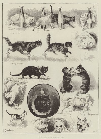Professor Fredericks Performing Cats av Louis Wain