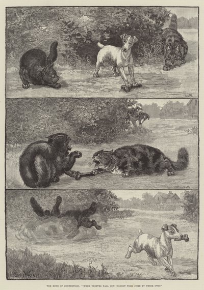 The Bone of Contention, När tjuvar faller ut, kommer hederliga människor på egen hand. av Louis Wain