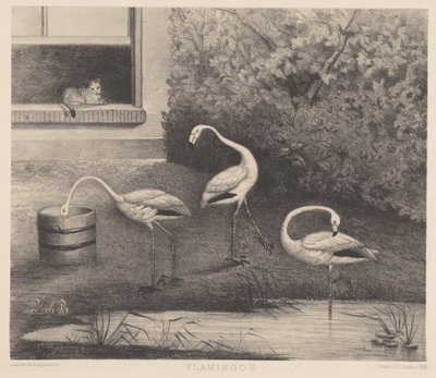 Tre flamingos och en katt av Louise Marie Françoise van der Beek