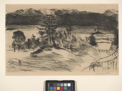 Großer Walchensee von Lovis (1858-1925) Corinth