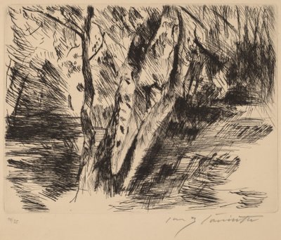 Björkar i Tiergarten av Lovis Corinth