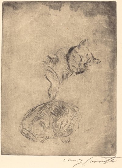 Katzenstudie studie av katter, 1920. av Lovis Corinth