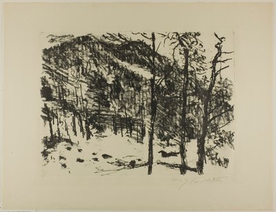 The Valley, från tidig vår i bergen av Lovis Corinth