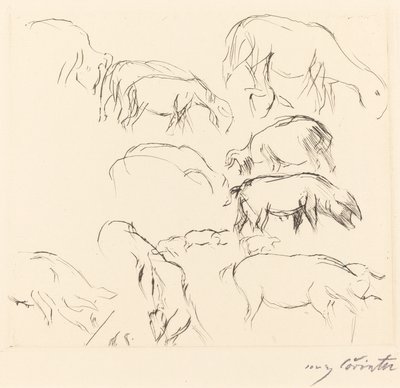 Olika djurstudier av Lovis Corinth