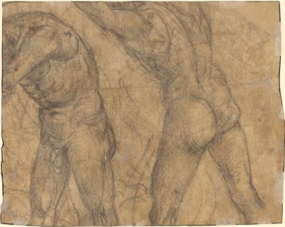 Två nakenfigurer [verso] av Luca Signorelli