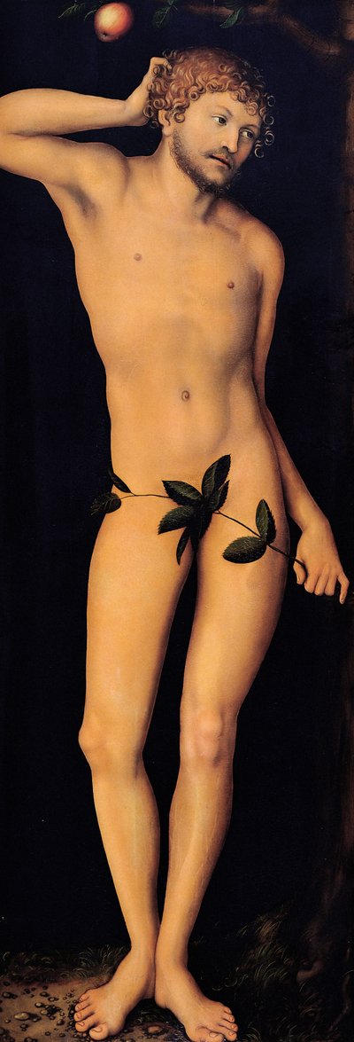 Adam, 1528. av Lucas Cranach the Elder