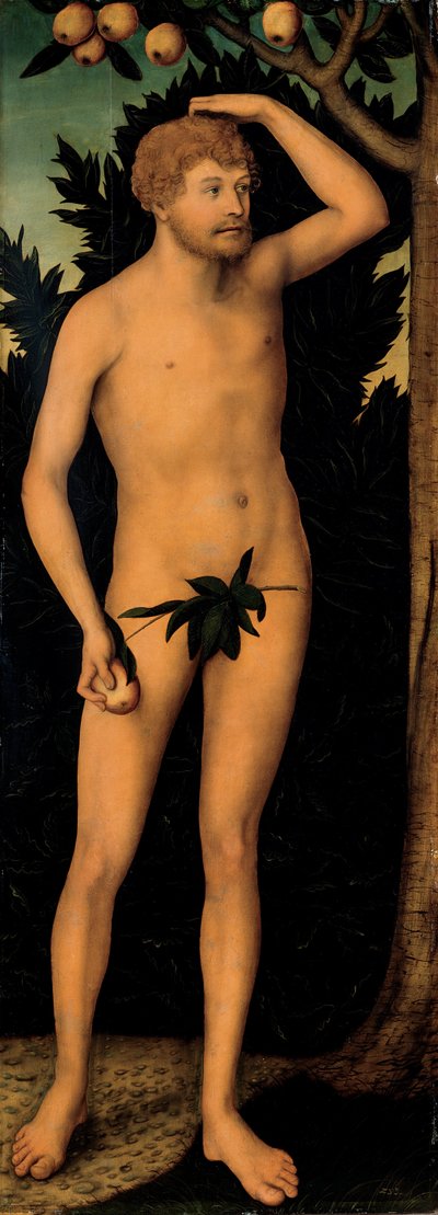 Adam, efter 1537 av Lucas Cranach the Elder