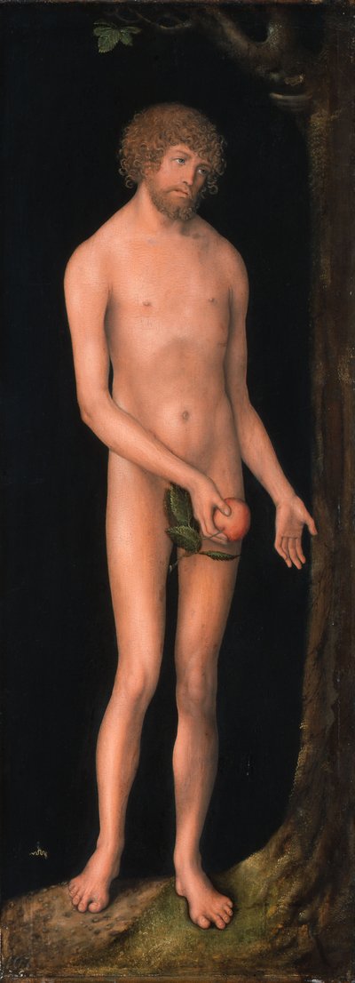 Tyska: Adam Adam av Lucas Cranach the Elder