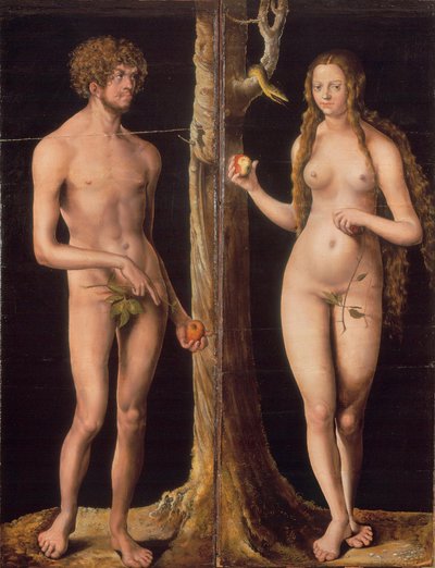Tyska: Adam und Eva Adam och Eva av Lucas Cranach the Elder