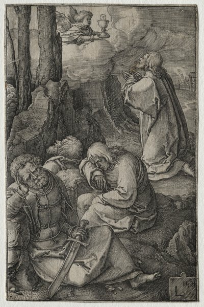 Passionen: ångesten i trädgården av Lucas van Leyden