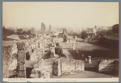 Ruinerna av de kejserliga palatsen på Palatinen i Rom Aedes Pubblica, Palazzo dei Cesari (titel på objekt) av Ludovico Tuminello