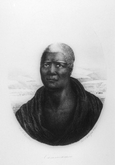 Kamehameha I, Hawaii, 1816 av Ludwig Choris