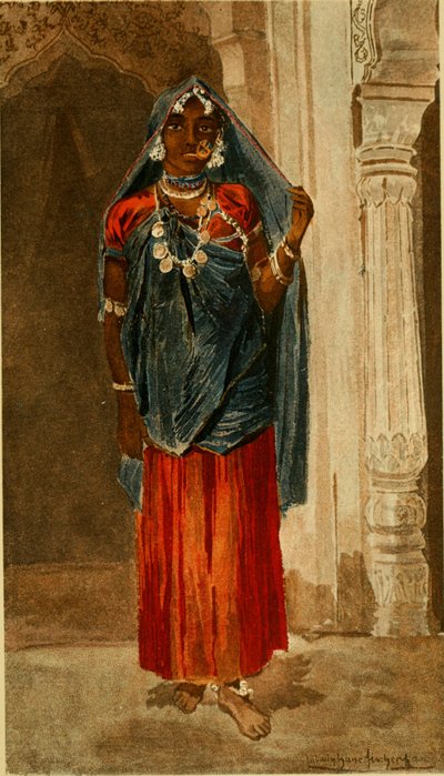 Annaler från Naturhistoriska museet i Wien (1890) (18013829859) av Ludwig Hans Fischer