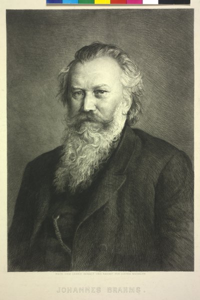 Johannes Brahms av Ludwig Michalek
