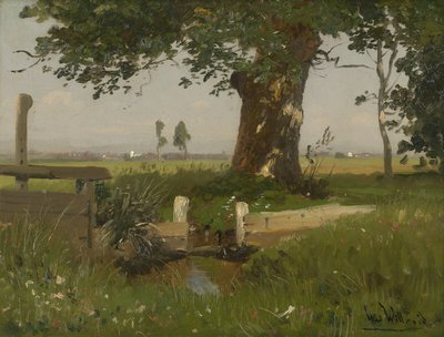 Somrigt ängslandskap i Kärnten av Ludwig Willroider