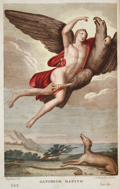 Ganymedes bars in i himlen eller Ganimede Rapito, Bok X, illustration från Ovidius