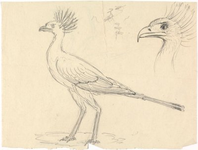 Sekreterare Bird av Luigi Balugani