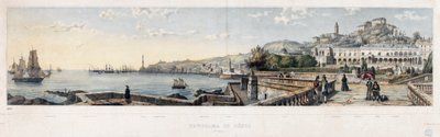 Panoramautsikt över staden Genua (litografi av Luigi Garibbo
