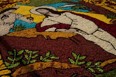 Stilla veckan Surco Flower Carpet, Lima, Peru, 2015. av Luis Rosendo.