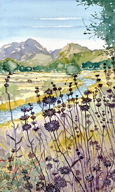 Vildblommor vid bergsfloden av Luisa Millicent