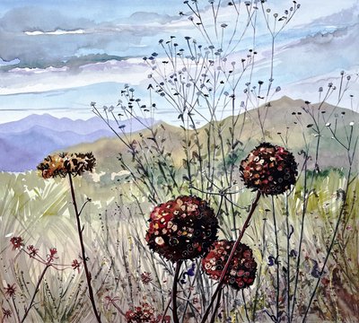 Vildblommor och berg av Luisa Millicent