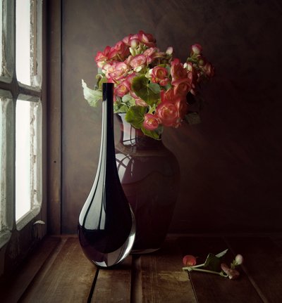 Fönsterbelysning med rosa blommor av Luiz Laercio