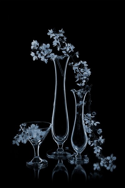 Blå blommor i glasvaser av Lydia Jacobs
