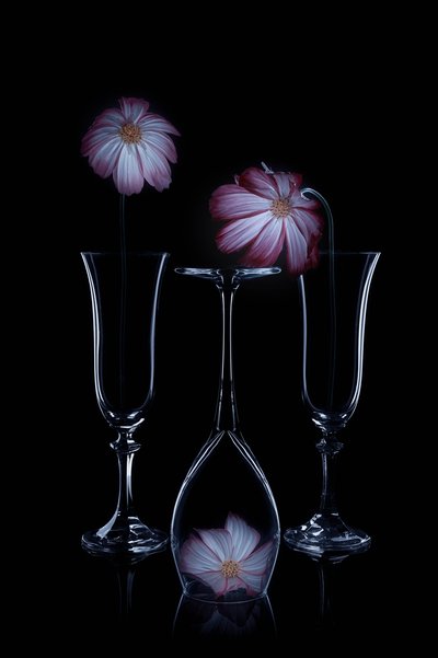 Skira blommor och glasflöjter av Lydia Jacobs
