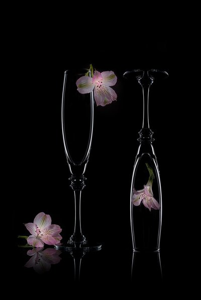 Delikat blomsterelegans av Lydia Jacobs