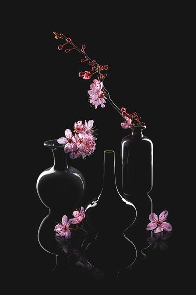 Eleganta blomvaser av Lydia Jacobs