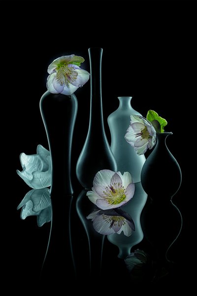 Elegant blomsterglöd av Lydia Jacobs